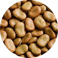 Grain 1